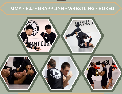 Todas las disciplinas